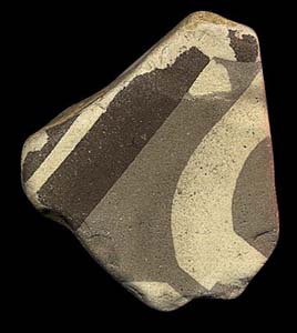 41